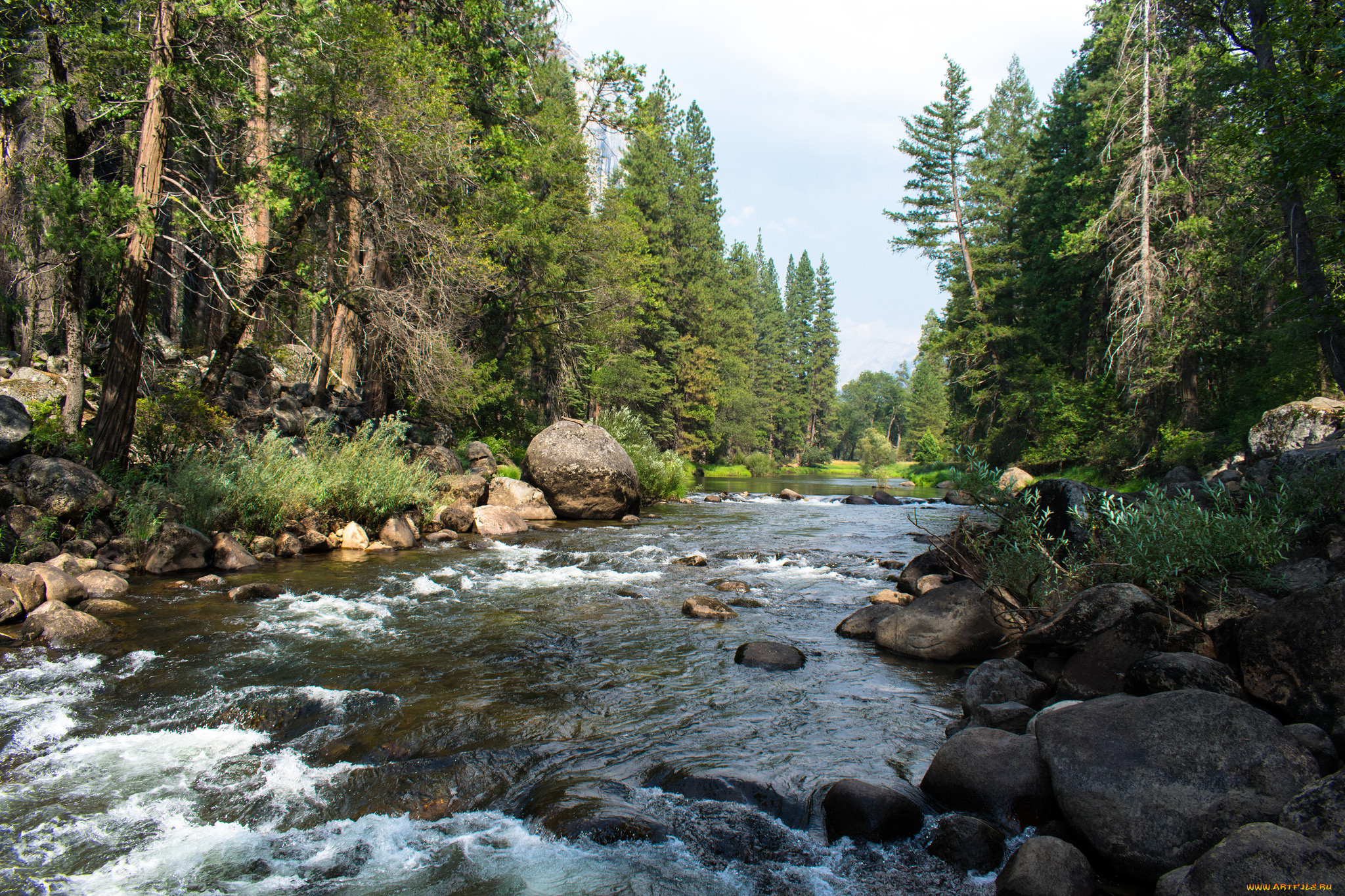 Девять рек. Река Мерсед. Река Мерсед фото. Река видео природа. MERCED River.